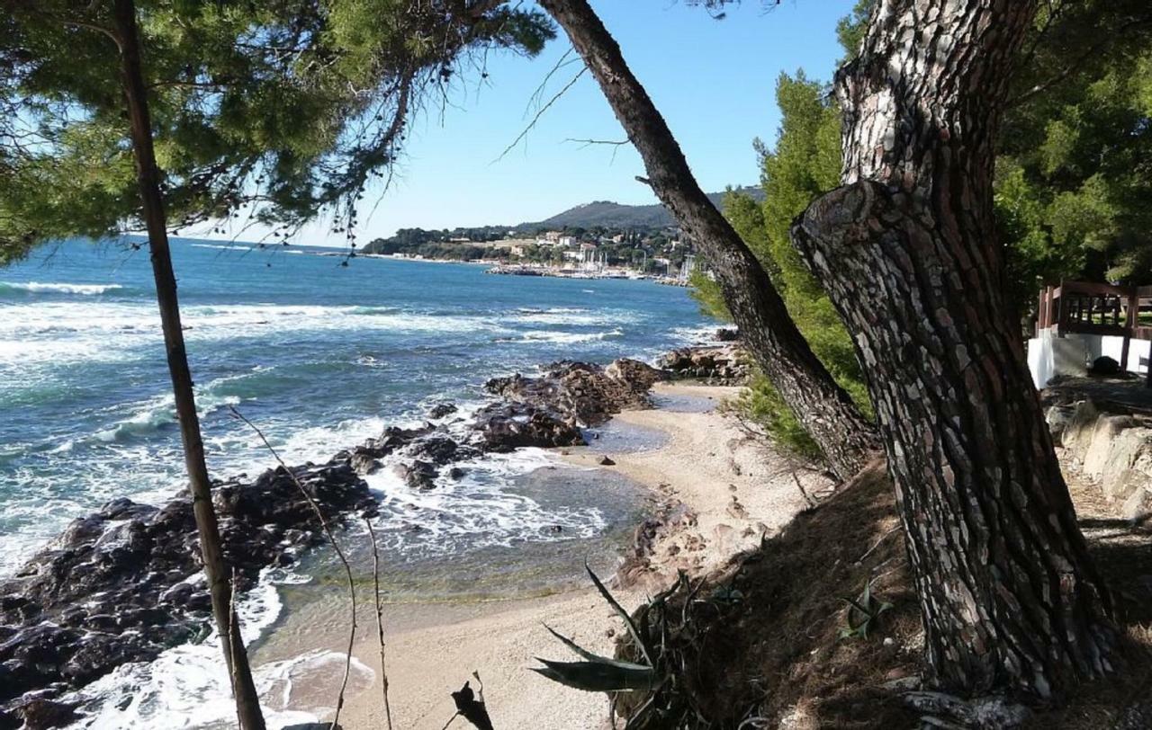 **** Beau T2 De 40 M2, Jardin De 70M2, Au Calme, A 50 Metres De La Plage Le Pradet Bagian luar foto