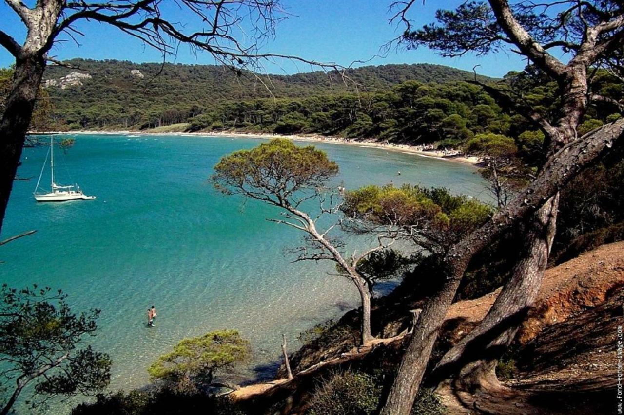 **** Beau T2 De 40 M2, Jardin De 70M2, Au Calme, A 50 Metres De La Plage Le Pradet Bagian luar foto