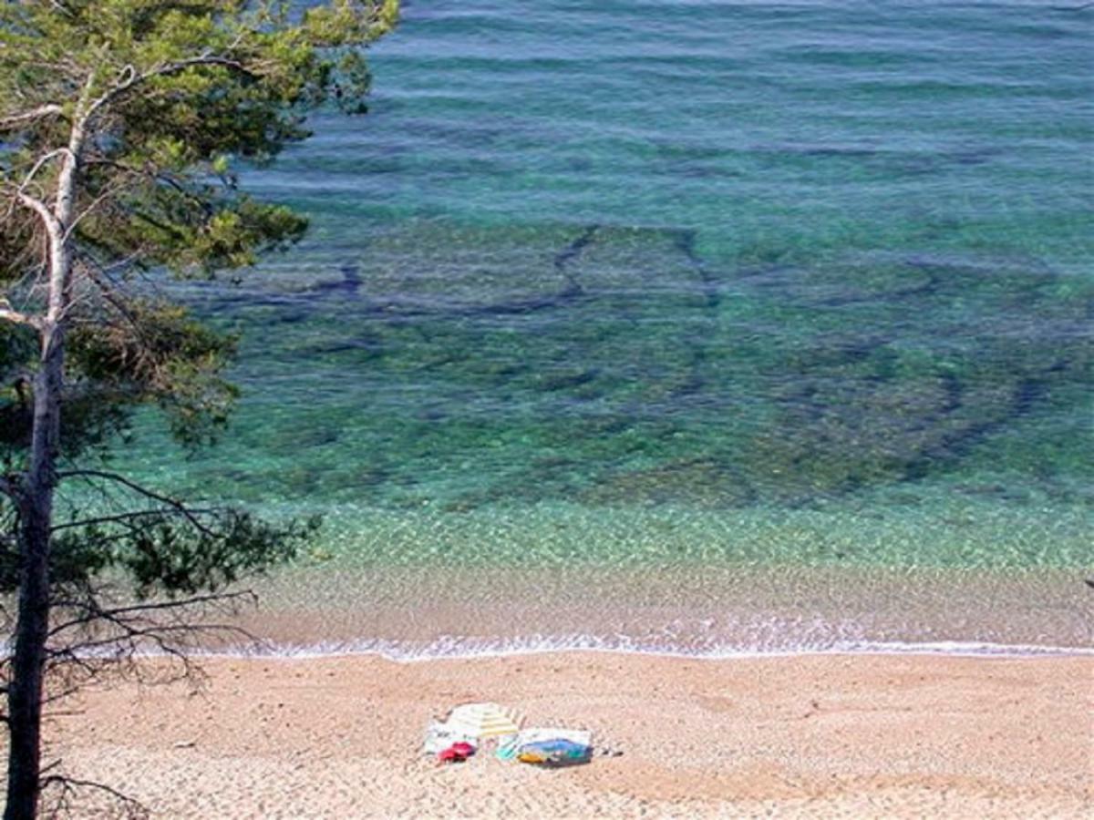 **** Beau T2 De 40 M2, Jardin De 70M2, Au Calme, A 50 Metres De La Plage Le Pradet Bagian luar foto