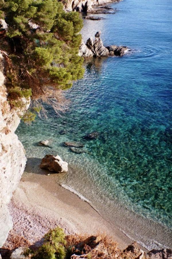 **** Beau T2 De 40 M2, Jardin De 70M2, Au Calme, A 50 Metres De La Plage Le Pradet Bagian luar foto